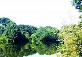 Image result for Lamb Angling Club