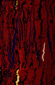 Attēlu rezultāti vaicājumam “Plagiothecium latebricola macro”