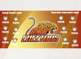 Image result for Cheetahs Softball Team