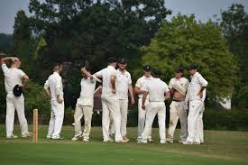 Image result for Capel Cricket Club