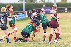 Image result for Crewe & Nantwich Rugby Union Football Club