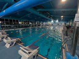 Image result for Hastings Seagulls Swimming Club