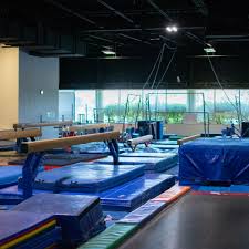Image result for Fish trampoline and gymnastics club