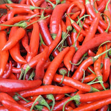 Afbeeldingsresultaat voor red fratali hot pepper