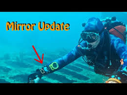 Image result for innerspace divers