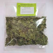 Attēlu rezultāti vaicājumam “Orthilia secunda leaf”