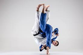 Image result for Judo/Ju-Jitsu Self Defence