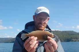 Image result for Hippoglossoides platessoides