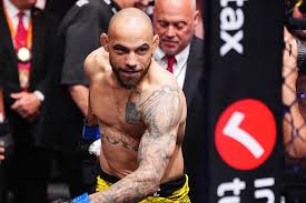 Image result for Silva L1 MidNite