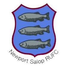 Image result for Newport (Salop) Cricket Club