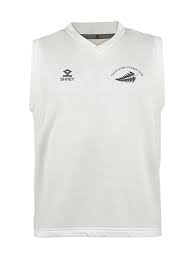 Image result for Farncombe Cricket Club