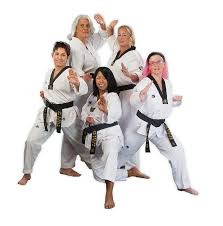 Image result for Kidderminster Tae Kwon Do Tigers