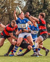 Image result for Bishop`s Stortford Rugby Football Club