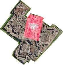 Attēlu rezultāti vaicājumam “Danthonia decumbens fruit”