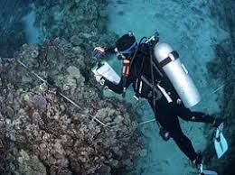 Image result for DeeperBlue.net Tribe (South London)