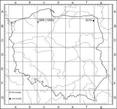 Attēlu rezultāti vaicājumam “Jungermannia subulata”