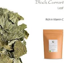 Attēlu rezultāti vaicājumam “Ribes nigrum leaf”