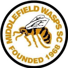 Image result for Wasps Football Club