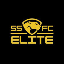 Image result for Elite Football Surrey