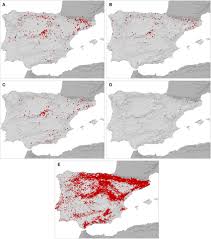 Attēlu rezultāti vaicājumam “Diplolepis eglanteriae”