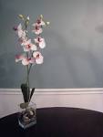 Benjamin Moore Paint Review: Is it worth the price? - One Project ...