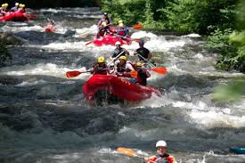 Image result for Bute Kayak Club