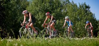 Image result for Chapeltri Co Uk