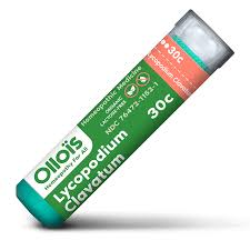 Attēlu rezultāti vaicājumam “Lycopodium clavatum”