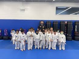 Image result for America's Best Karate