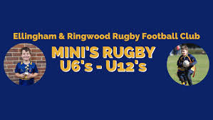 Image result for Ellingham and Ringwood Rfc