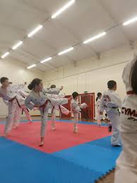 Image result for Haslemere Karate Club