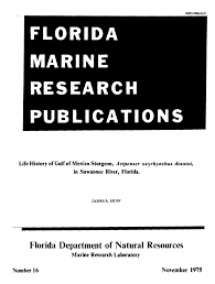 Image result for Acipenser desotoi