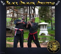 Image result for Goshin Ryu Atemi JuJitsu