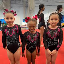 Image result for Charisma Gymnastics Club
