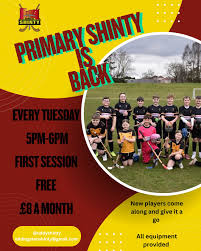 Image result for World of Shinty