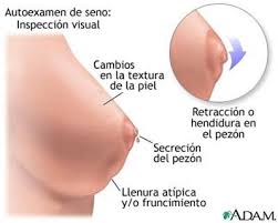 http://t0.gstatic.com/images?q=tbn:ANd9GcT6tytII_7q-T2JXNZck6bIJ0RNC7cwuVD7S_p4Sf0ojOp7G6yl5Q