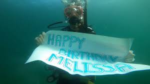 Image result for 3D Diving Club