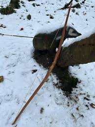 Image result for Row Brow Field Archery