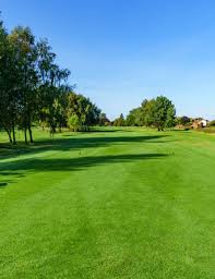 Image result for Spalding & District Gc