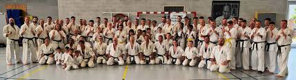 Image result for Kyoku Kenjutsu Kai