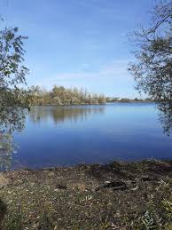 Image result for DRAYTON ANGLING CLUB
