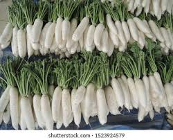 Image result for Raphanus sativus ssp. Oleiformes