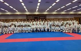 Image result for Redhill Karate Association