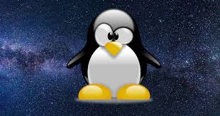 Image result for linux tux