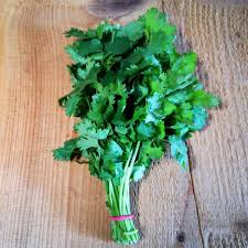 Image result for Koriander