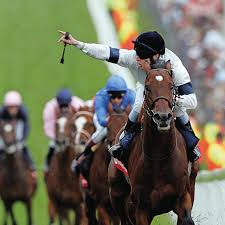 Image result for The Horse Racing Club