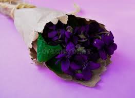 Attēlu rezultāti vaicājumam “Viola uliginosa bud”