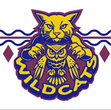 Image result for Wath Upon Dearne Rugby Union Football Club