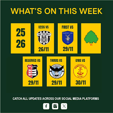 Image result for Westfields Football Club Ltd