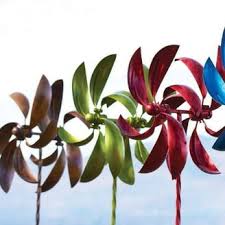 Image result for Eastney Hi Spinners